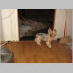 20090226003.JPG