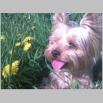 20090527003.jpg