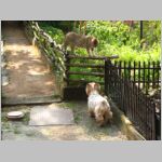 20090715010.JPG