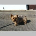 20090926003.JPG
