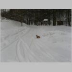 20100128002.JPG