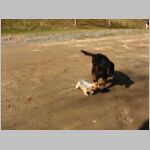 20100327002.JPG