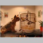 20100409006.JPG