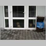 20100416001.JPG