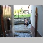 20100605031.JPG