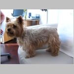 20100708012.JPG
