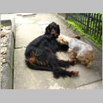 20100915001.JPG