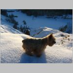 20110129006.JPG