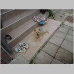 20110705023.JPG