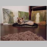20111224037.JPG