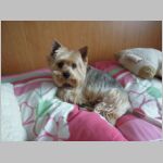 20120309001.JPG