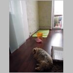 20120422001.JPG