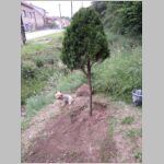 20120620006.JPG