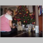 20121224016.JPG