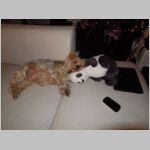 20121225001.JPG