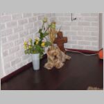 20130215006.JPG