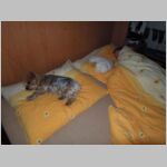 20130303001.JPG