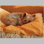 20130401035.JPG