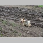 20130507003.JPG
