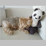 20130508001.JPG