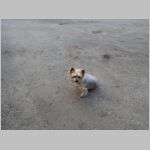 20130607014.JPG