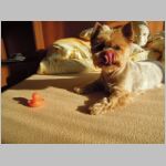 20130810047.JPG