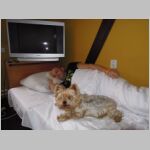 20131027002.JPG