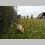 20131027009_desna.JPG