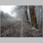 20131221005_milonice_zavist.JPG