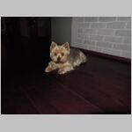20131225001.JPG