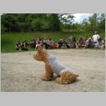 20140524053.JPG