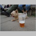 20140524106.JPG