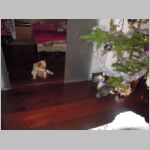 20151231001.JPG