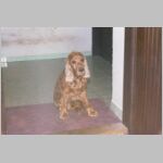 2003_QD0043001.jpg