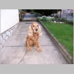 20041009001.jpg
