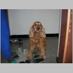 20050705001.jpg