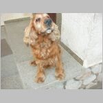20051111002.jpg