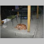20060607006.jpg