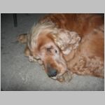 20060607007.jpg