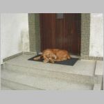 20060609002.jpg
