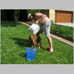 20060616008.jpg