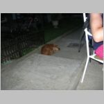 20060706033.jpg