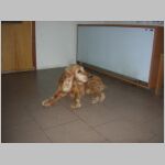 20060707002.jpg