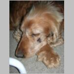 20060707004.jpg