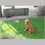 20060708024.jpg