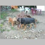 20060909007_two.jpg