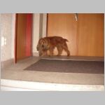 20070309003.jpg