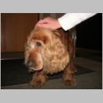 20070309004.jpg