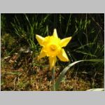 20070414025.jpg