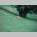 20060615032_rv.jpg